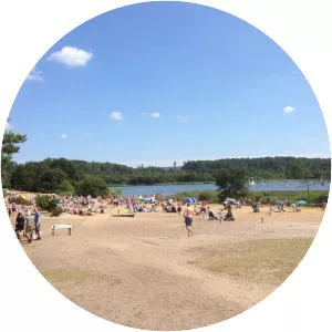 Frensham Great Pond