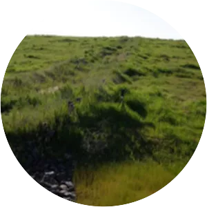 Fresno Municipal Sanitary Landfill - 