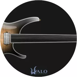 Fretless guitar - Musical instrument