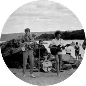 Friedel Brandt Musician