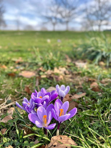 Friedhof Bernau am Chiemsee - Cemetery in Bernau am Chiemsee, Germany