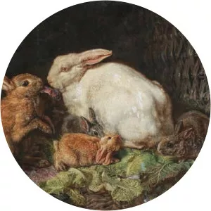 Friedrich Heimerdinger