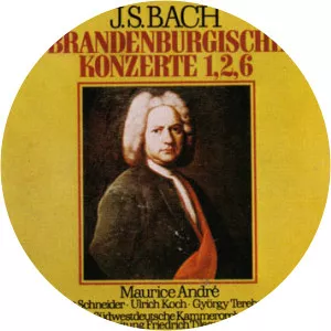 Friedrich Tilegant Musician