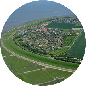 Friedrichskoog