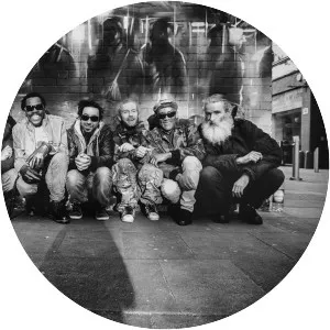 Friendly Fire Band - Musical group