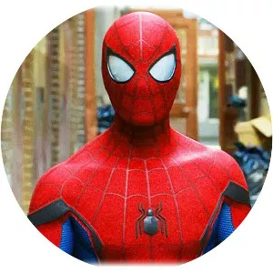 Friendly Neighborhood SpiderMan