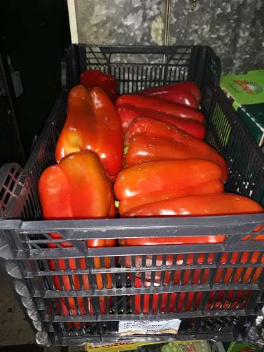 Froitas Daniel El Valenciano S L L