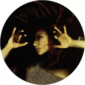 From the Choirgirl Hotel - Studio album by Tori Amos