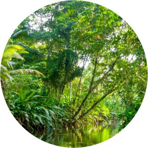 Frontier BorneoSince 2017 - TV program