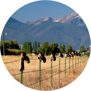 Frontline Big Sky, Big Money