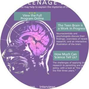 Frontline Inside the Teenage Brain