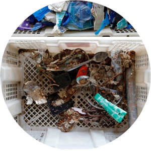 Frontline Plastic Wars