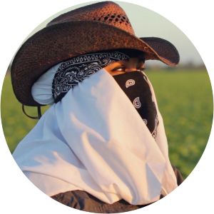 Frontline Rape in the Fields