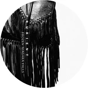 Frozen Niagara Falls