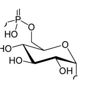 Fructose 6-phosphate - Chemical compound
