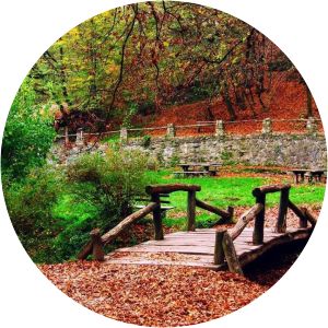 Fruška Gora National Park - 