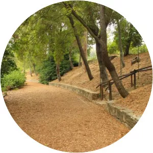 Fryman Canyon - 