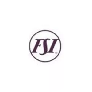 FSI International