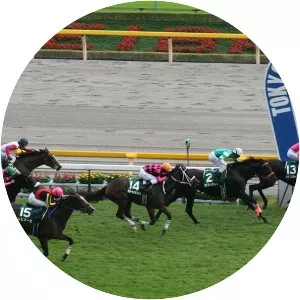 Fuchu Himba Stakes - 