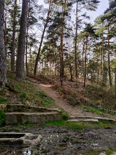 Fuente de la Botella