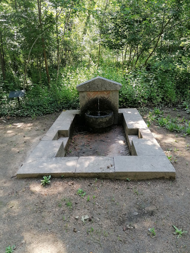 Fuente de los Narcisos