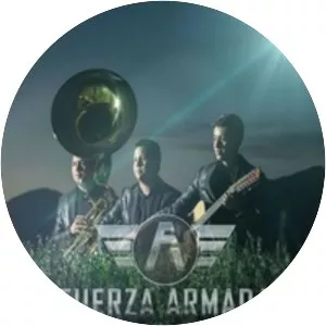 Fuerza Armada