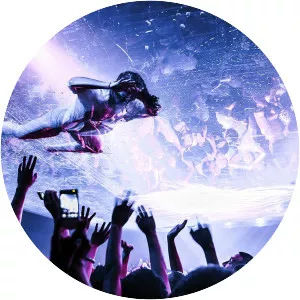 Fuerza Bruta photograph