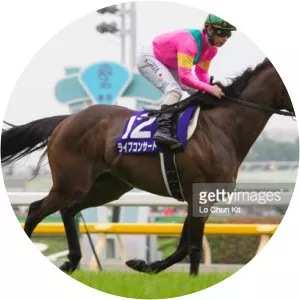 Fujita Shinji - Japanese jockey