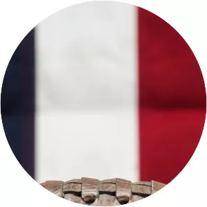 Full Color Football: The History of the American Football League