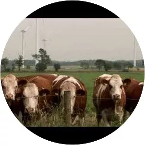 Full Metal Village - 2006 ‧ Rockumentary/Music ‧ 1h 30m