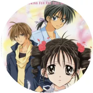 Full Moon o Sagashite - Manga series