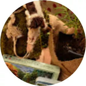 Fundación Huilo Huilo