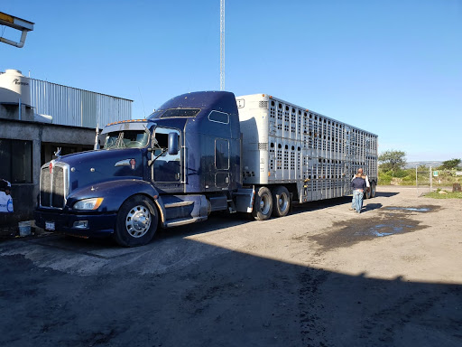 Fundidora Central de Aguascalientes SA de CV