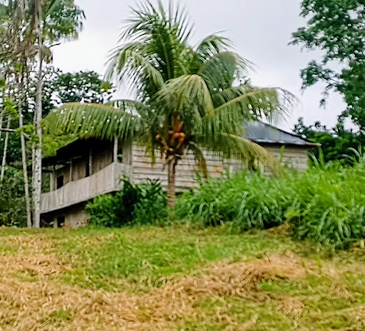 Fundo Maya - Hostel in Peru