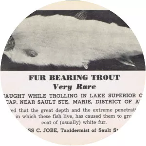 Fur-bearing trout - 