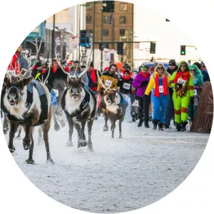 Fur Rendezvous Festival - 