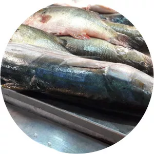 Furel - TV character