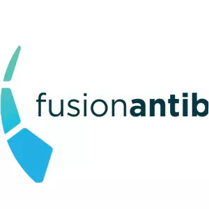 Fusion Antibodies