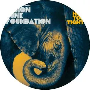 Fusion Funk Foundation - Musical artist