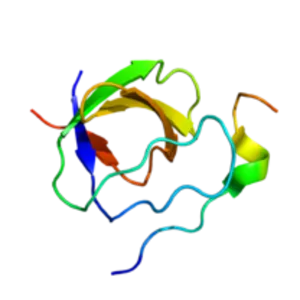 GAB2 - Protein