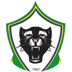 Gabon national football team