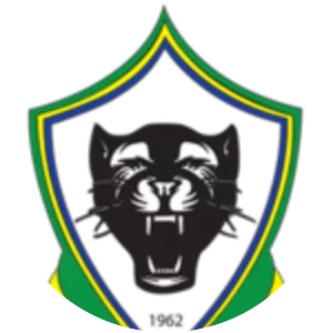 Gabonese Football Federation
