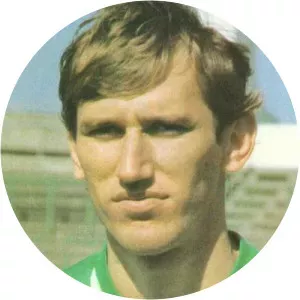 Gábor Pölöskei - Hungarian football player