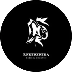 Gabriel Chakarji - Musical artist