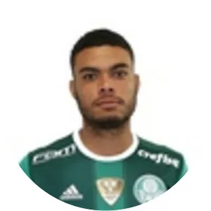 Gabriel Estigarribia e Silva