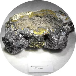 Gabriel Plattes - Writer