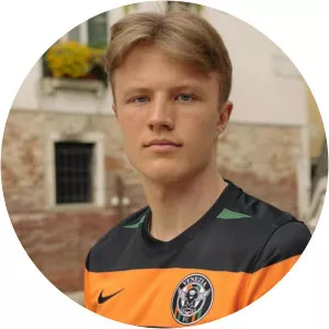 Gabriel Ragnar Hilmer Sandberg - Football player