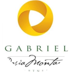 Gabriel Resources