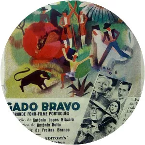 Gado Bravo