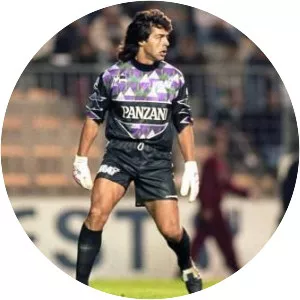 Gaëtan Huard - French footballer